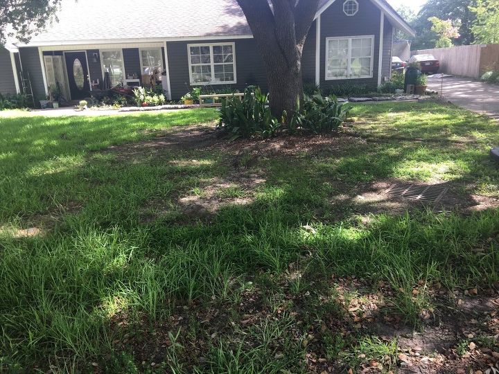q how to build a dry creek on a budget