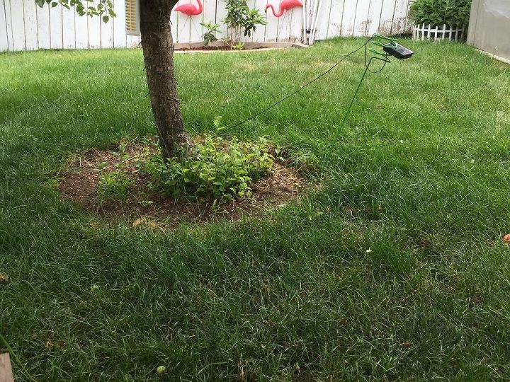 q little trees annoying