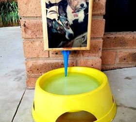 how to make a dog auto water feeder
