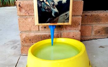Cómo hacer un alimentador de agua automático para perros