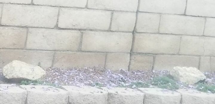 q planter need help