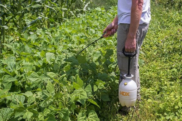 homemade hot pepper spray to deter garden pests