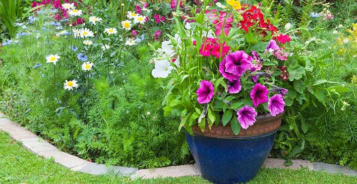 best flower bed border ideas for savvy home gardeners