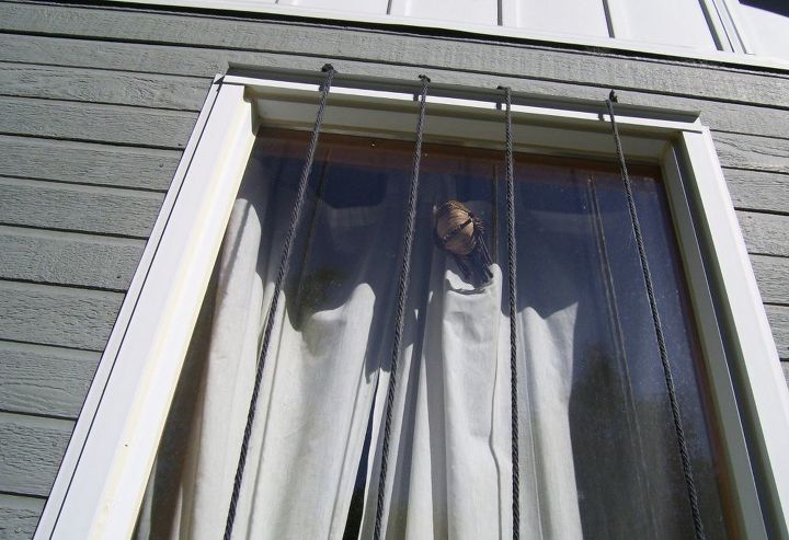 proteja os pssaros uma janela de cada vez