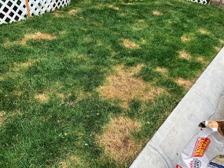 q need help w my grass what can i do