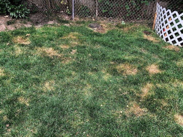 q need help w my grass what can i do