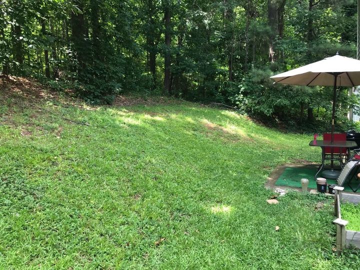 q what can i do to beautify this horrible hill in by backyard