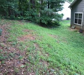 q what can i do to beautify this horrible hill in by backyard