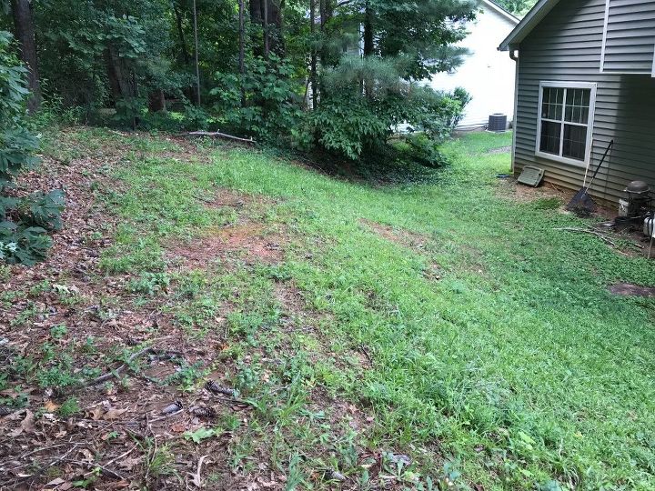 q what can i do to beautify this horrible hill in by backyard