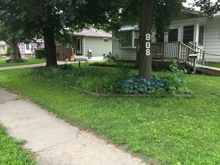 q i have an area in my front yard that is shady