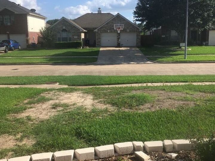 q ideas for covering area where 20 yr old oak was