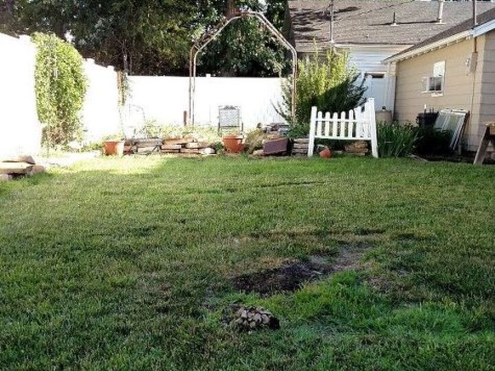 q what to do with backyard