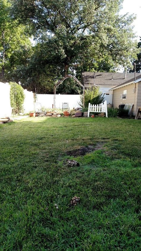 q what to do with backyard