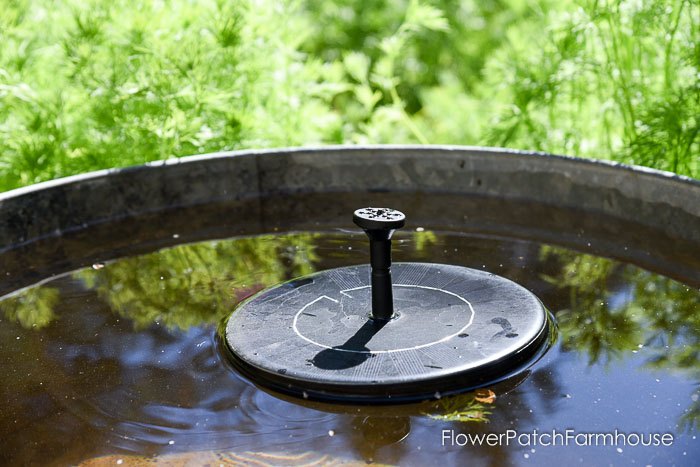 easy diy hummingbird fountain