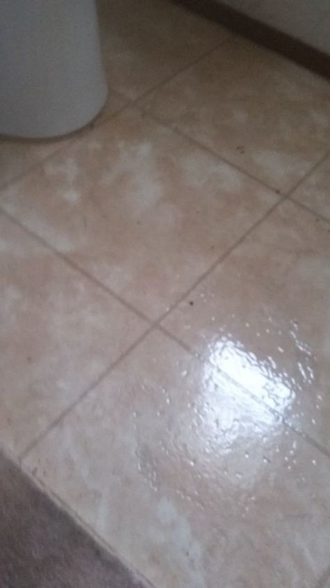 q can you paint linoleum floor