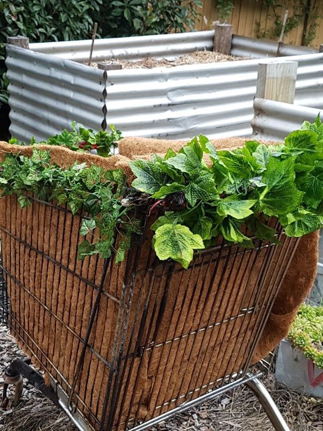 garden bed from discarded supermarket trolley