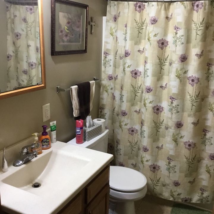 q i am looking to repaint my bathrooms