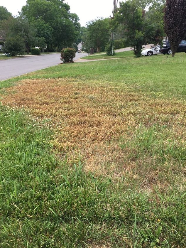 large area in my front yard where grass wont grow