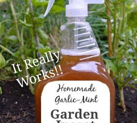30 unusual helpful gardening tips you ll want to know, Spray garlic and mint over the leaves