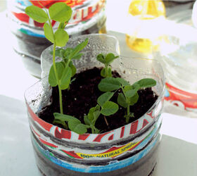 30 unusual helpful gardening tips you ll want to know, Make a mini greenhouse from a water bottle