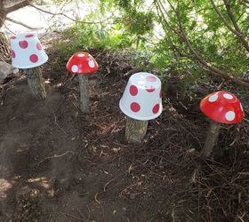 easy magical mushrooms for gardens yards