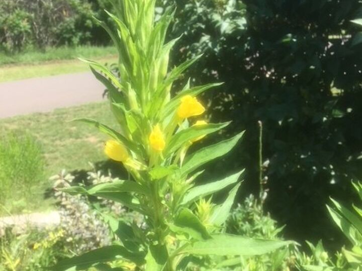 q any ideas on what this is