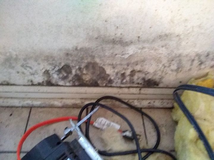 how do i clean black mold off sheetrock and concrete