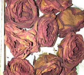 what can i do with dried roses to protect them can i spray paint them