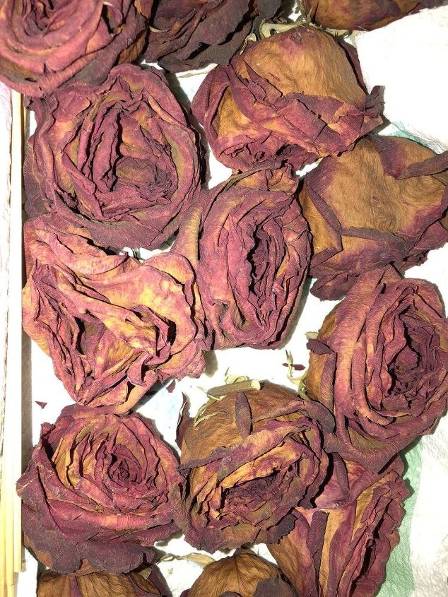what can i do with dried roses to protect them can i spray paint them