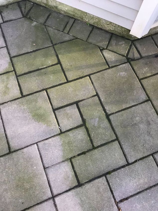 q pavers on patio have green on them