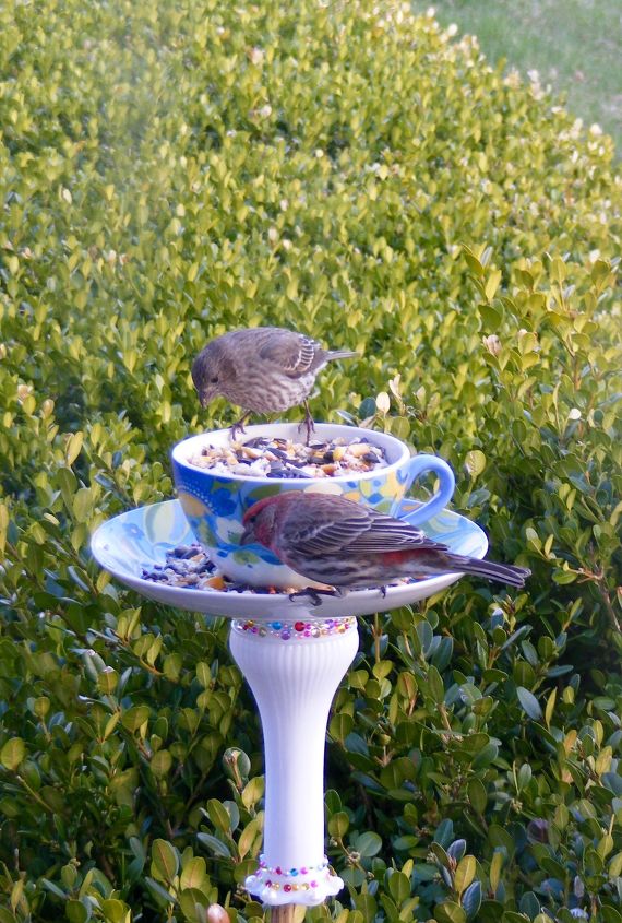 s 18 adorable bird feeders you ll want to make right now, Repurpose Goodwill dishes