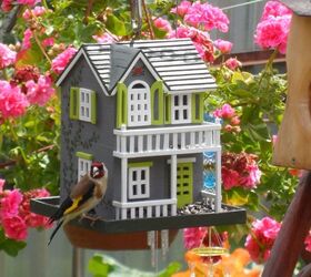 s 18 adorable bird feeders you ll want to make right now, Assemble a home for them