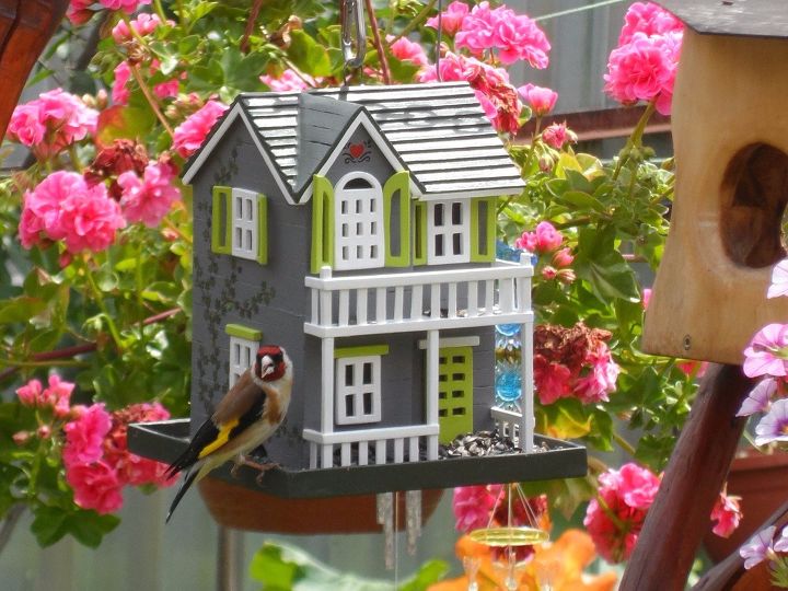s 18 adorable bird feeders you ll want to make right now, Assemble a home for them