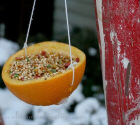 s 18 adorable bird feeders you ll want to make right now, Hang half of an orange peel