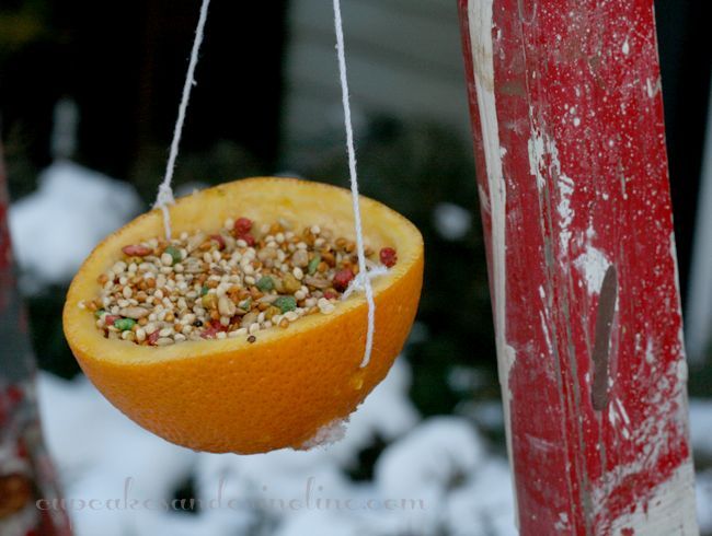 s 18 adorable bird feeders you ll want to make right now, Hang half of an orange peel