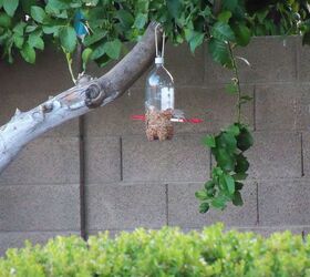 s 18 adorable bird feeders you ll want to make right now, Recycle a plastic Coke bottle