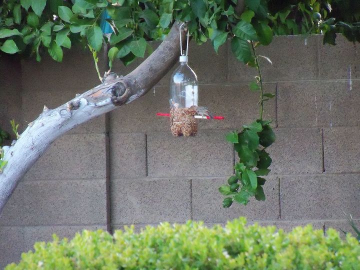 s 18 adorable bird feeders you ll want to make right now, Recycle a plastic Coke bottle