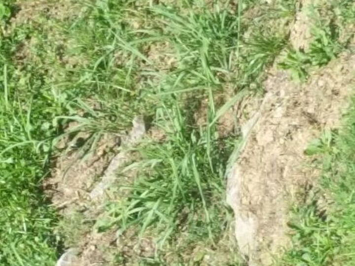 q what do with a yard that is more like a rock cliff