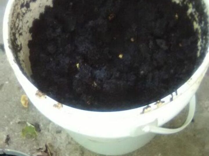 q composting