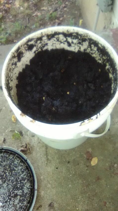 q composting