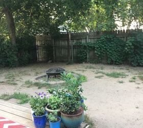 i have a dirt yard and dont know what to do any ideas