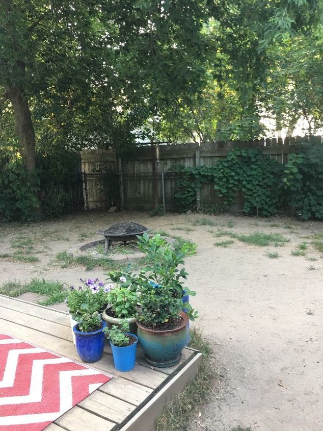 i have a dirt yard and dont know what to do any ideas