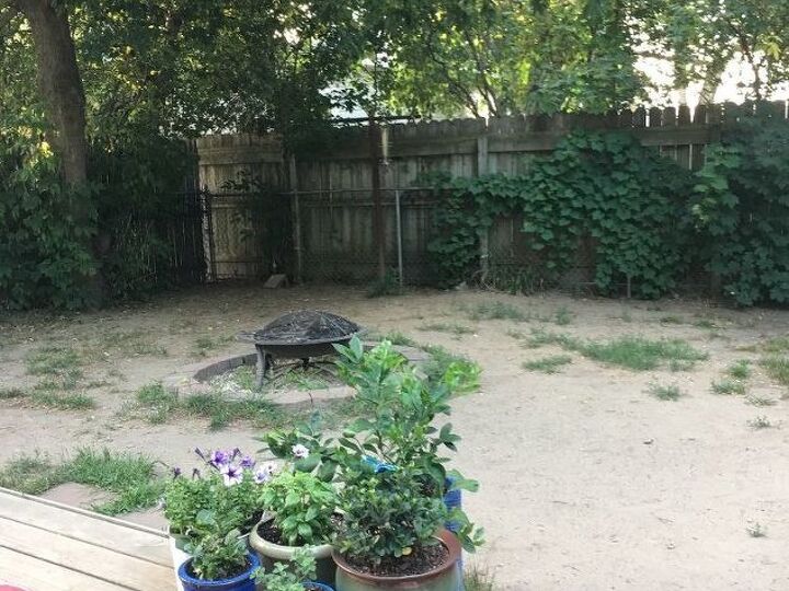 q i have a dirt yard and don t know what to do