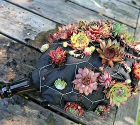 how to make an adorable succulent hedgehog planter out of trash