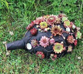 how to make an adorable succulent hedgehog planter out of trash