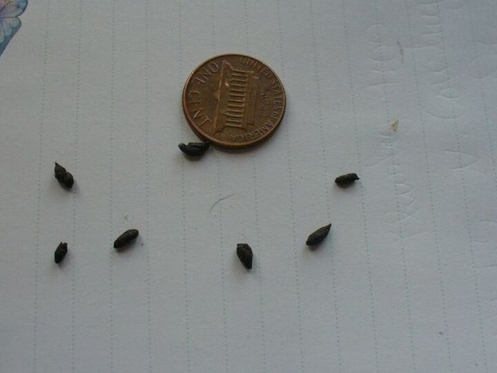 q what are these
