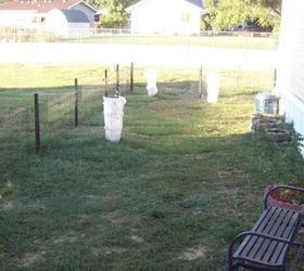 inexpensive yardgard fence