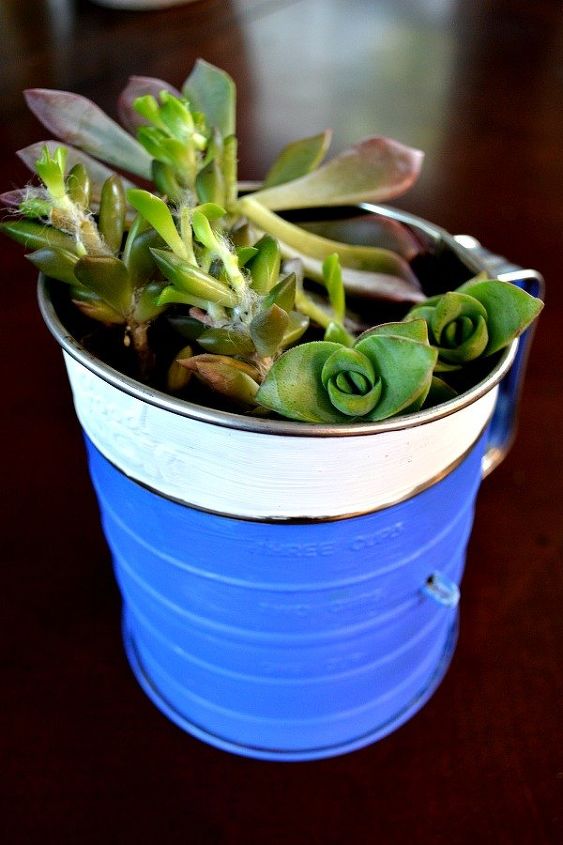 upcycled succulent planter