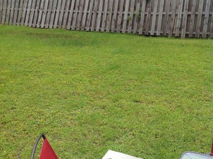 q best way to take care of wet backyard