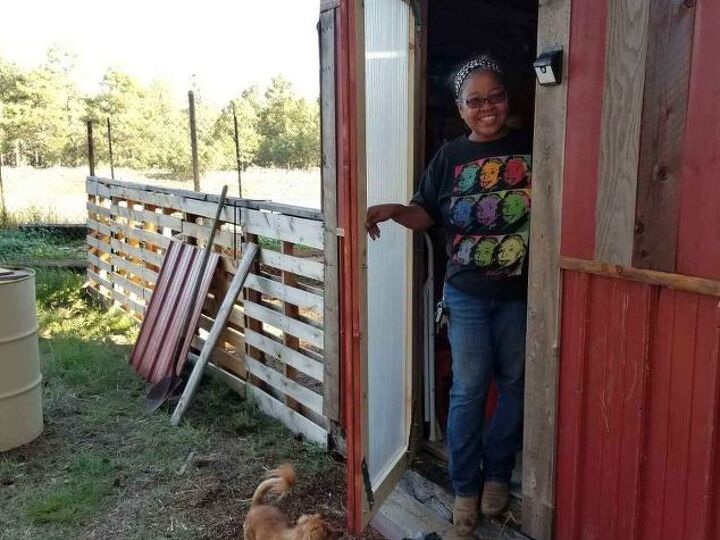 q how do i protect a 25x25 ft area as a chicken run there are many pine